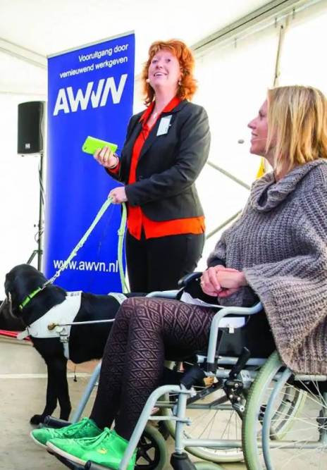 gelijke behandeling, inclusie